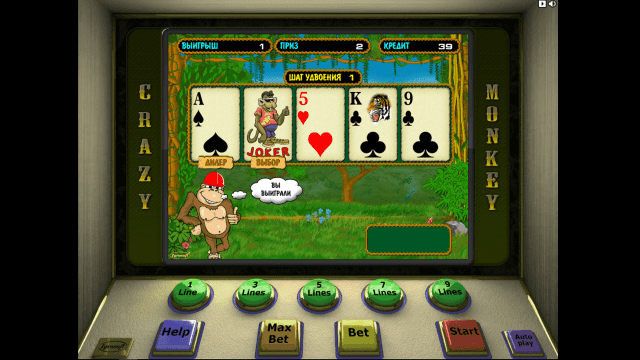 Crazy Monkey 7